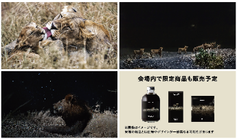 LION NIGHT TATEYUKI ADACHI PHOTO EXHIBITION